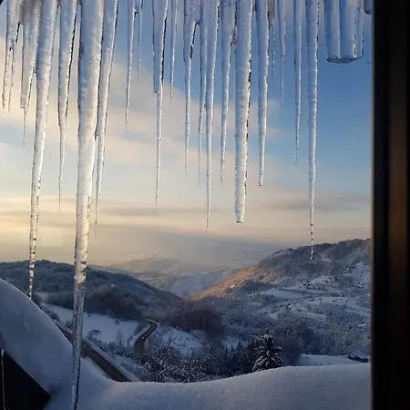 Lucky-milmari Kopaonik