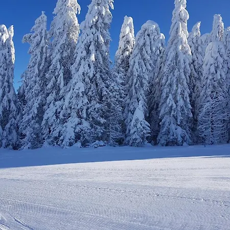 Aparthotel Lucky-milmari Kopaonik