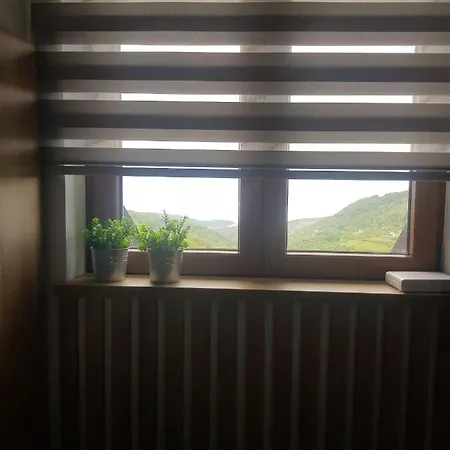 Lucky-milmari Kopaonik