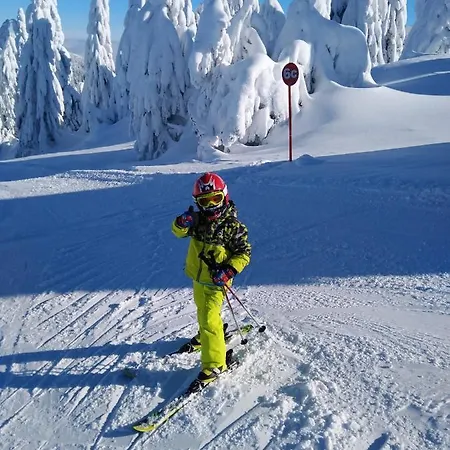 Aparthotel Lucky-milmari